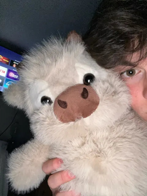 Peluche vache Highland reçue par Camille R.